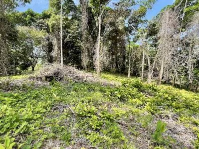 Terreno tranquilo en la selva en venta en Ojochal, photo 8