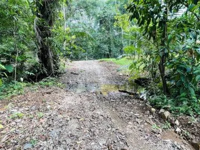 Terreno tranquilo en la selva en venta en Ojochal, photo 10