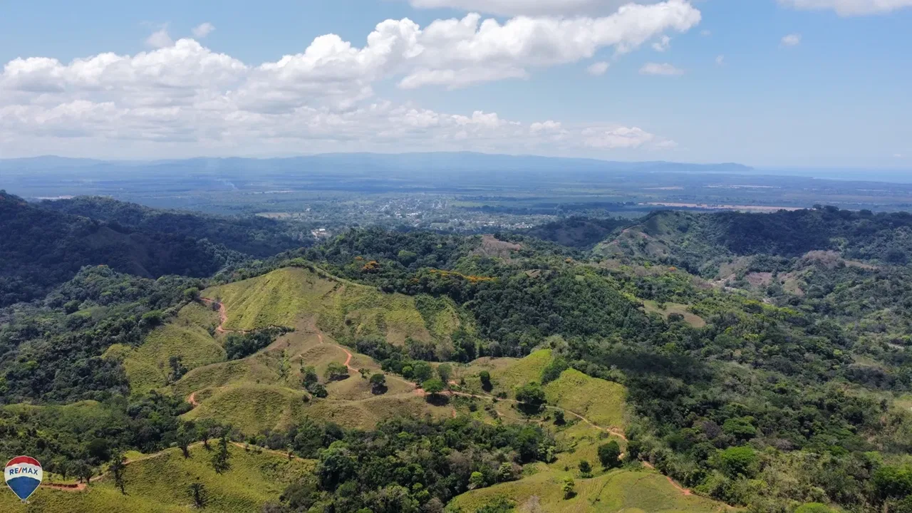 82-hectare property Ciudad Cortés Costa Rica — Development Opportunity - REMAX Jungle Properties | Pavones Golfito Real Estate