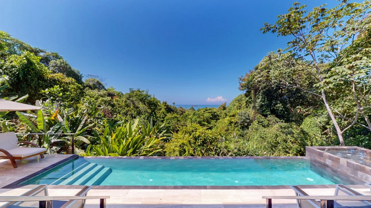 PROPERTY WITH OCEAN VIEW AND A GUEST HOUSE IN PIÑUELA -1.39 ACRES, photo 13