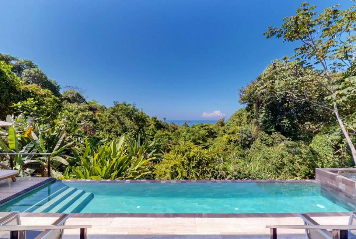 PROPERTY WITH OCEAN VIEW AND A GUEST HOUSE IN PIÑUELA -1.39 ACRES, photo 14