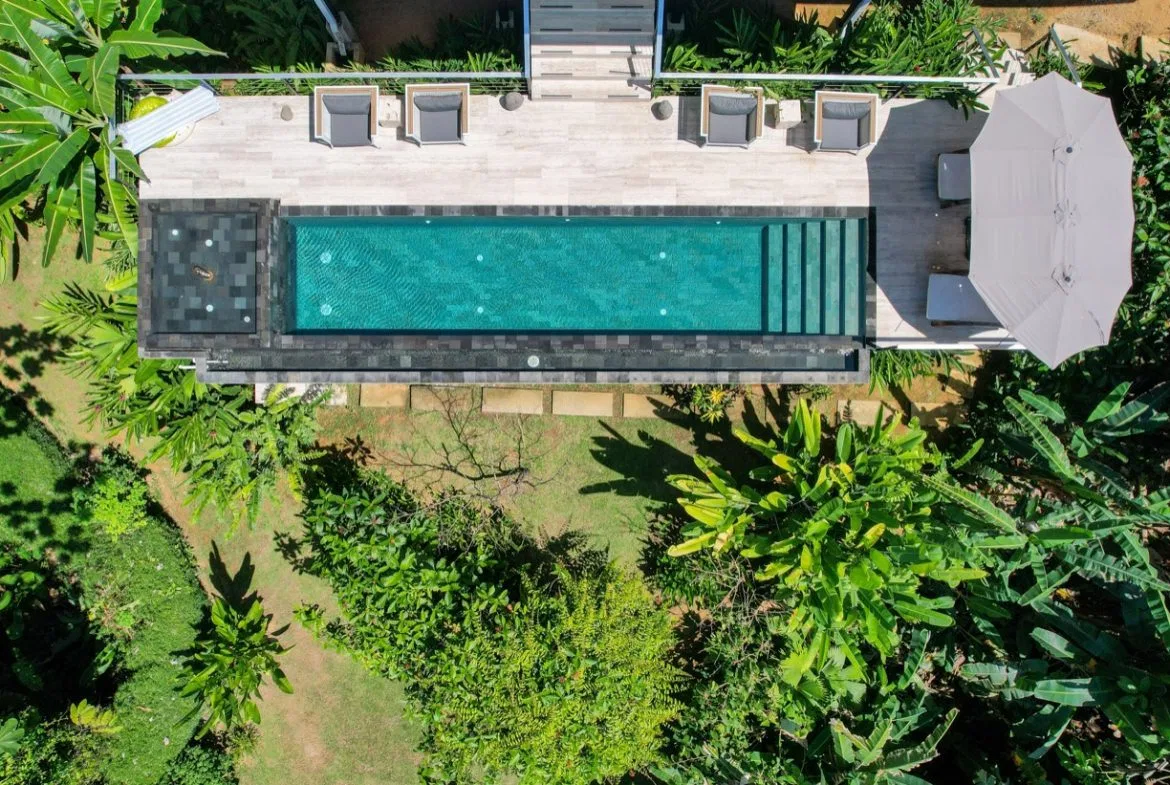 PROPERTY WITH OCEAN VIEW AND A GUEST HOUSE IN PIÑUELA -1.39 ACRES, photo 4