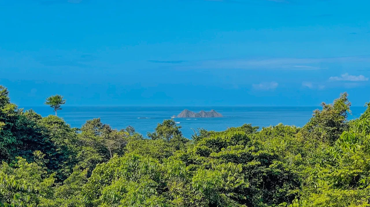 PROPERTY WITH OCEAN VIEW AND A GUEST HOUSE IN PIÑUELA -1.39 ACRES, photo 9