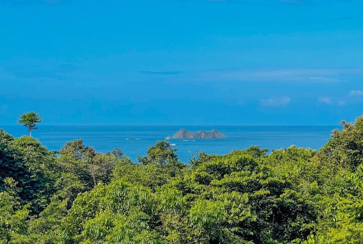 PROPERTY WITH OCEAN VIEW AND A GUEST HOUSE IN PIÑUELA -1.39 ACRES, photo 10