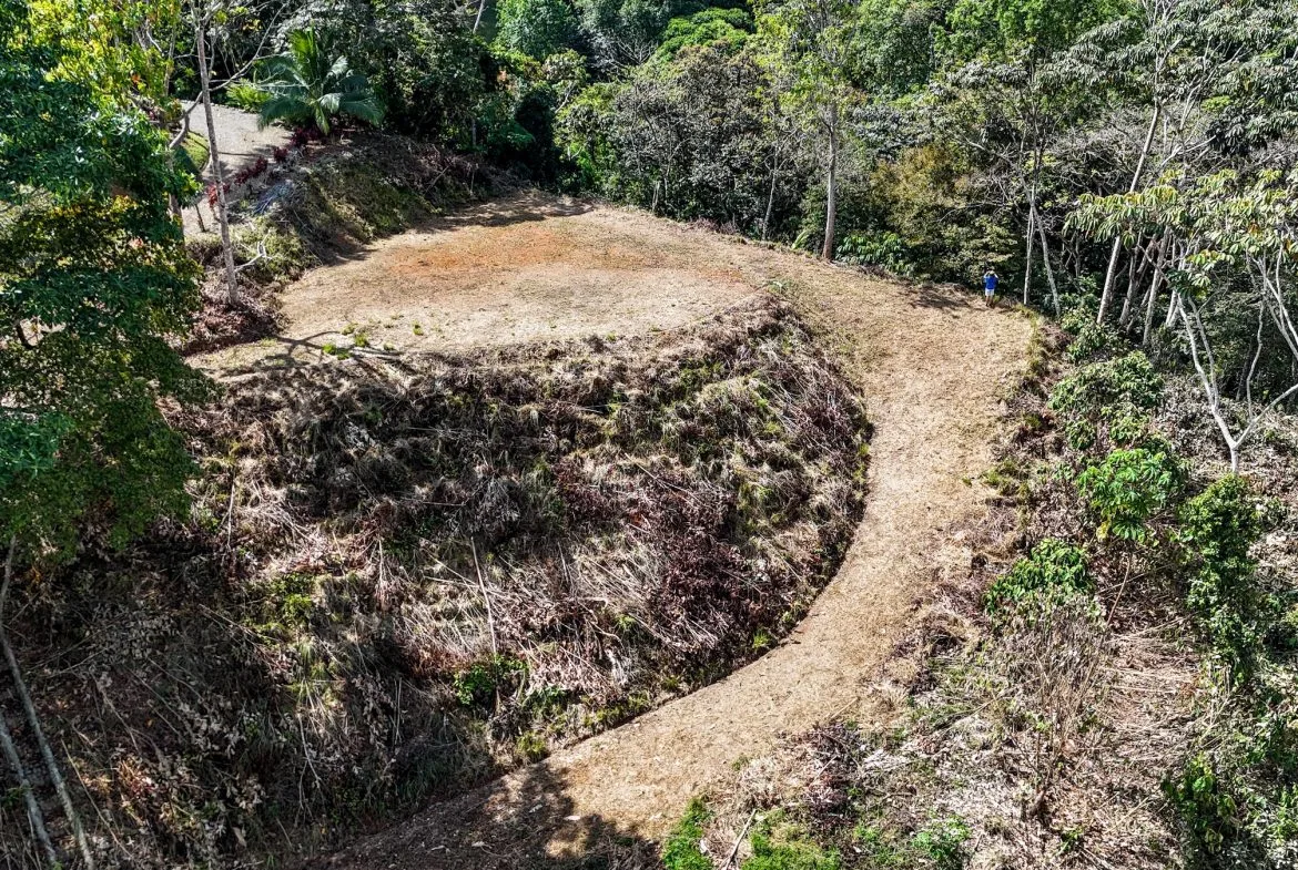 MOUNTAIN BUILDING PROPERTY WITH TREES VIEWS, IN TRES RIOS – 1.2 ACRES, photo 2
