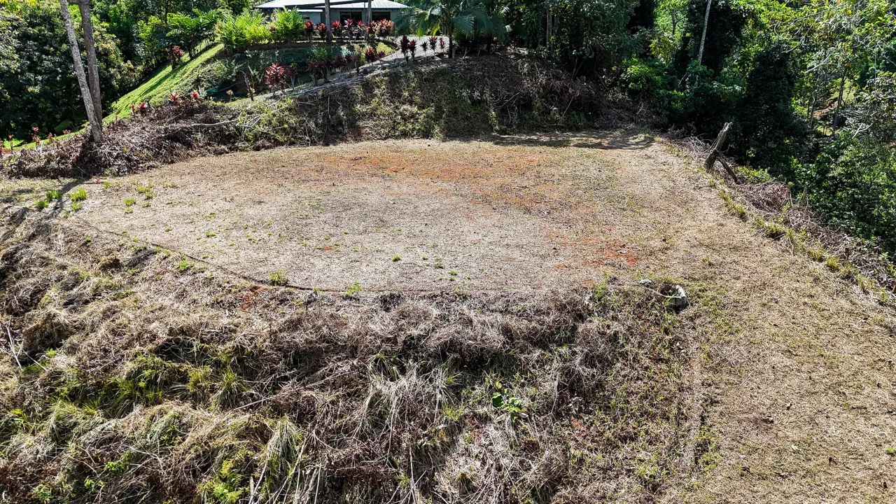 MOUNTAIN BUILDING PROPERTY WITH TREES VIEWS, IN TRES RIOS – 1.2 ACRES, photo 11