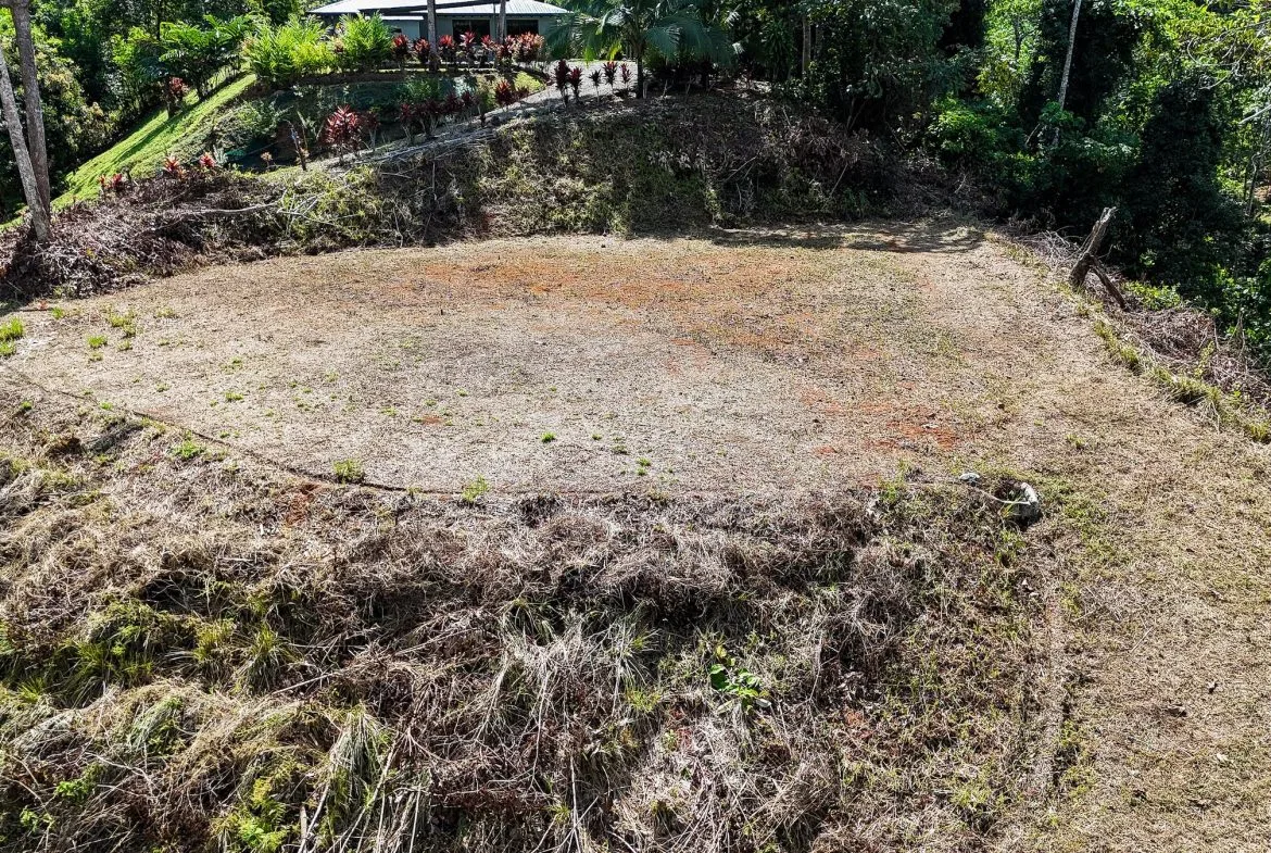 MOUNTAIN BUILDING PROPERTY WITH TREES VIEWS, IN TRES RIOS – 1.2 ACRES, photo 12