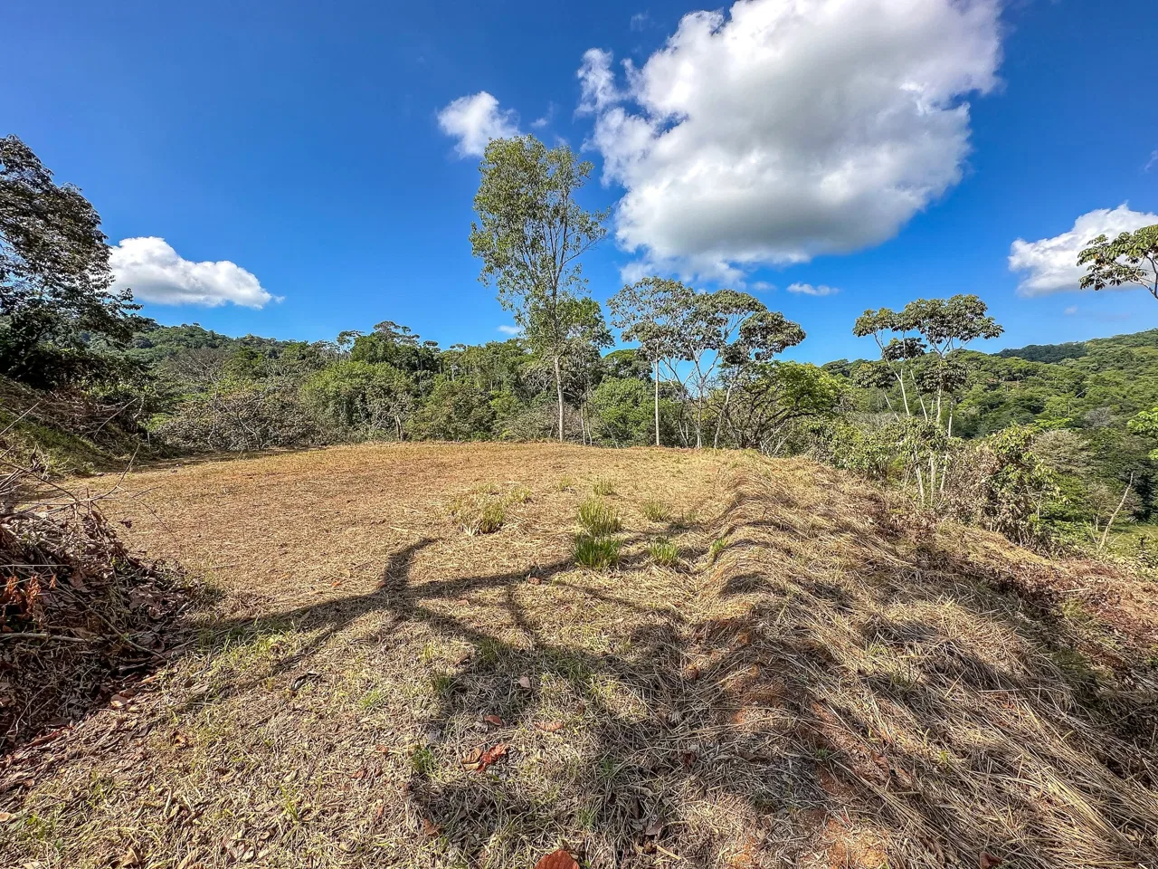 MOUNTAIN BUILDING PROPERTY WITH TREES VIEWS, IN TRES RIOS – 1.2 ACRES, photo 13