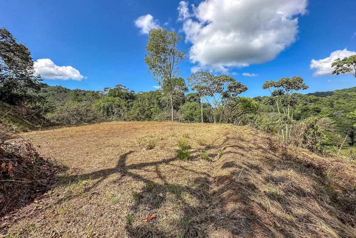 MOUNTAIN BUILDING PROPERTY WITH TREES VIEWS, IN TRES RIOS – 1.2 ACRES, photo 14
