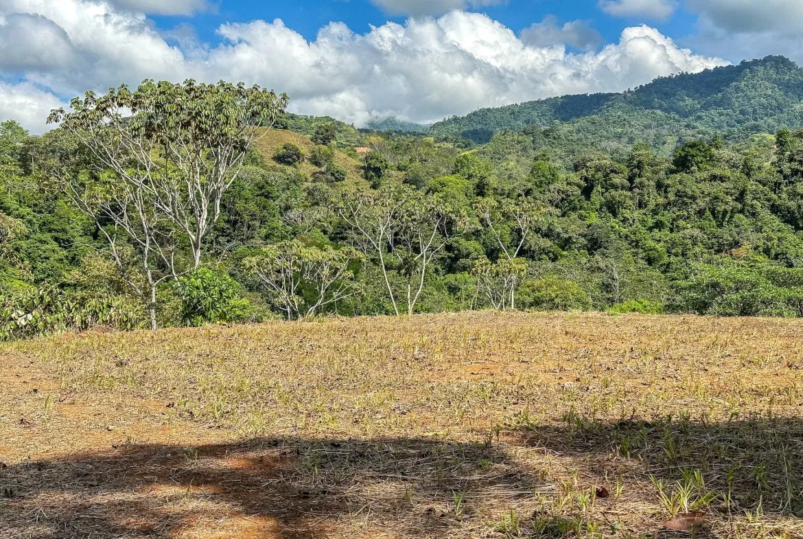 MOUNTAIN BUILDING PROPERTY WITH TREES VIEWS, IN TRES RIOS – 1.2 ACRES, photo 16