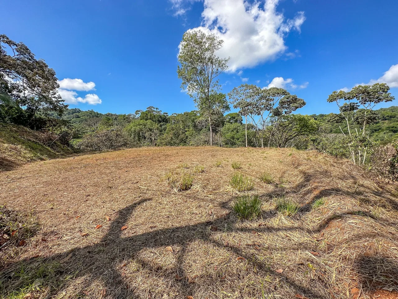 MOUNTAIN BUILDING PROPERTY WITH TREES VIEWS, IN TRES RIOS – 1.2 ACRES, photo 17