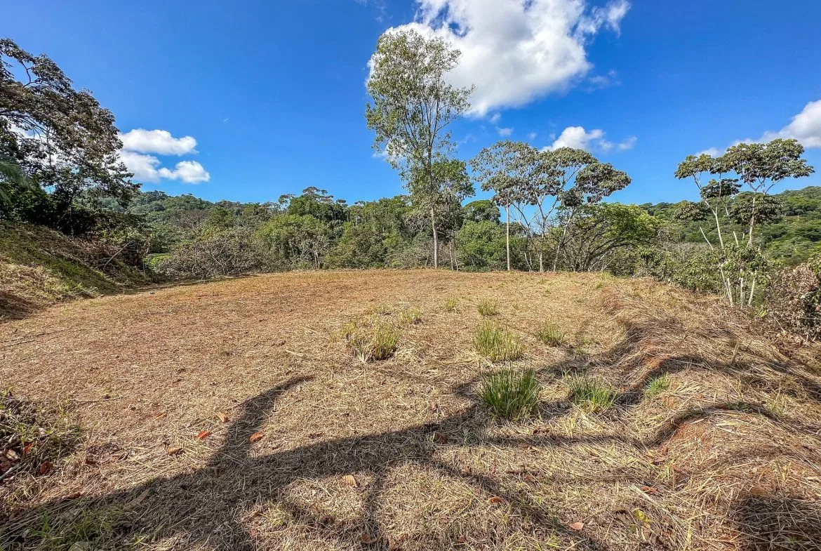 MOUNTAIN BUILDING PROPERTY WITH TREES VIEWS, IN TRES RIOS – 1.2 ACRES, photo 18