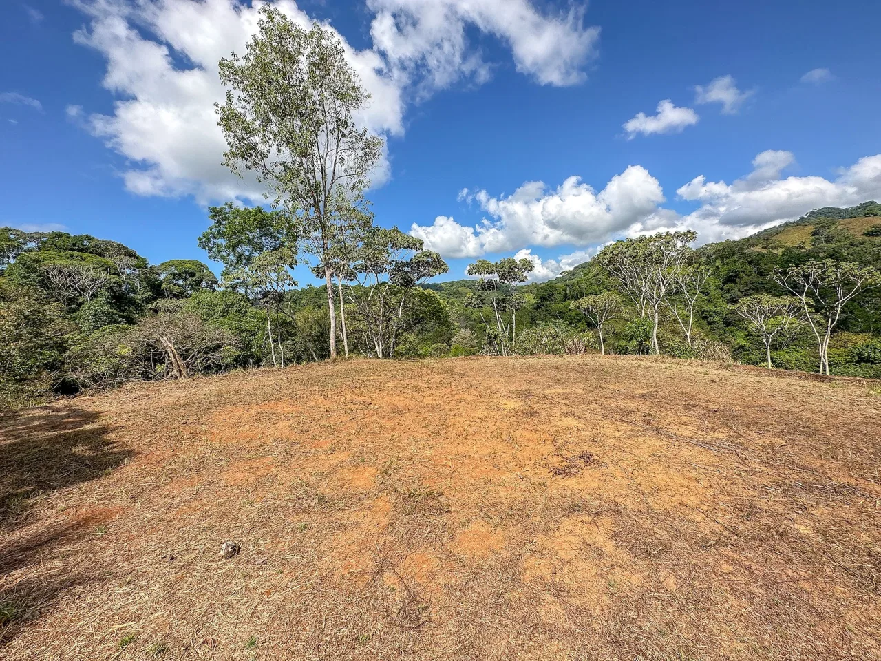 MOUNTAIN BUILDING PROPERTY WITH TREES VIEWS, IN TRES RIOS – 1.2 ACRES, photo 19