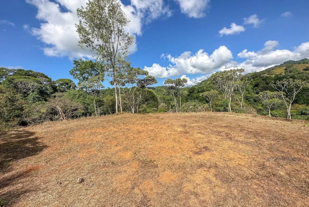 MOUNTAIN BUILDING PROPERTY WITH TREES VIEWS, IN TRES RIOS – 1.2 ACRES, photo 20