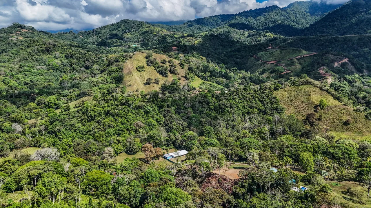MOUNTAIN BUILDING PROPERTY WITH TREES VIEWS, IN TRES RIOS – 1.2 ACRES, photo 3