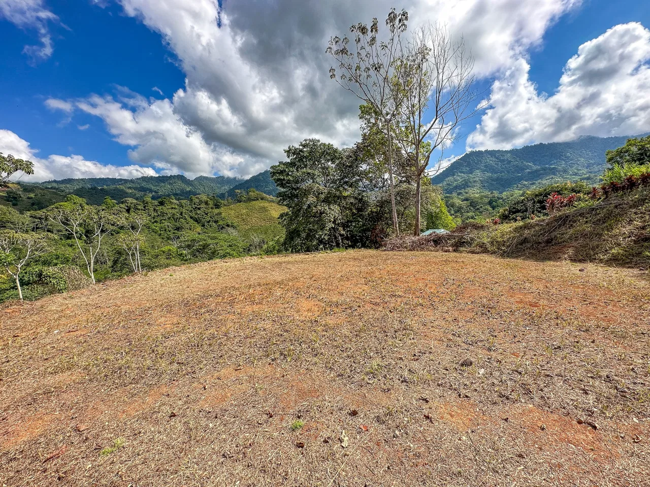 MOUNTAIN BUILDING PROPERTY WITH TREES VIEWS, IN TRES RIOS – 1.2 ACRES, photo 21