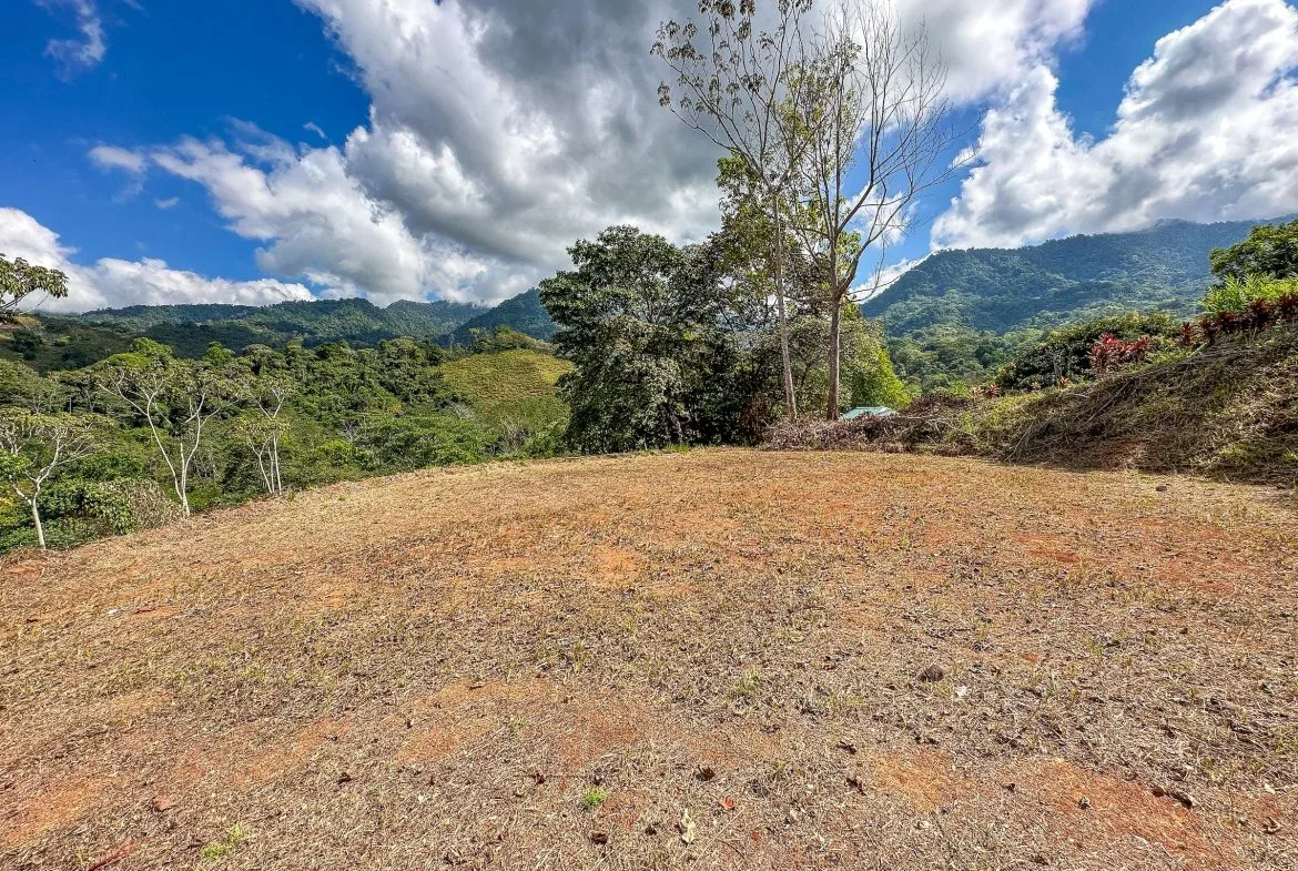 MOUNTAIN BUILDING PROPERTY WITH TREES VIEWS, IN TRES RIOS – 1.2 ACRES, photo 22