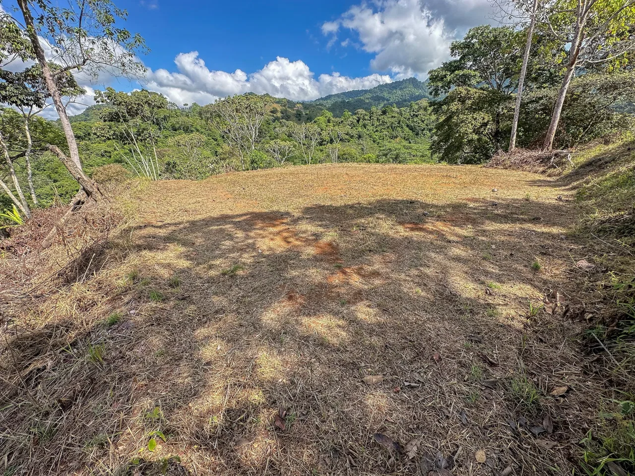 MOUNTAIN BUILDING PROPERTY WITH TREES VIEWS, IN TRES RIOS – 1.2 ACRES, photo 23