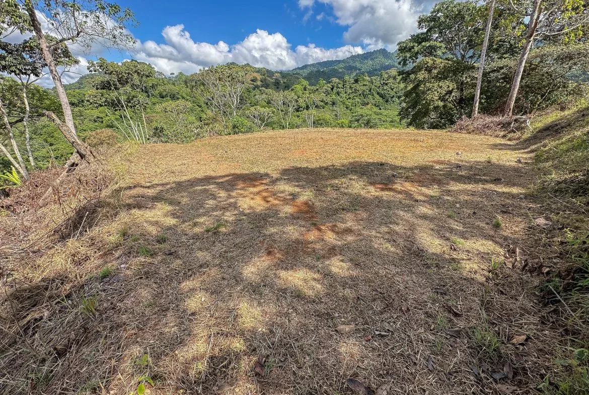MOUNTAIN BUILDING PROPERTY WITH TREES VIEWS, IN TRES RIOS – 1.2 ACRES, photo 24