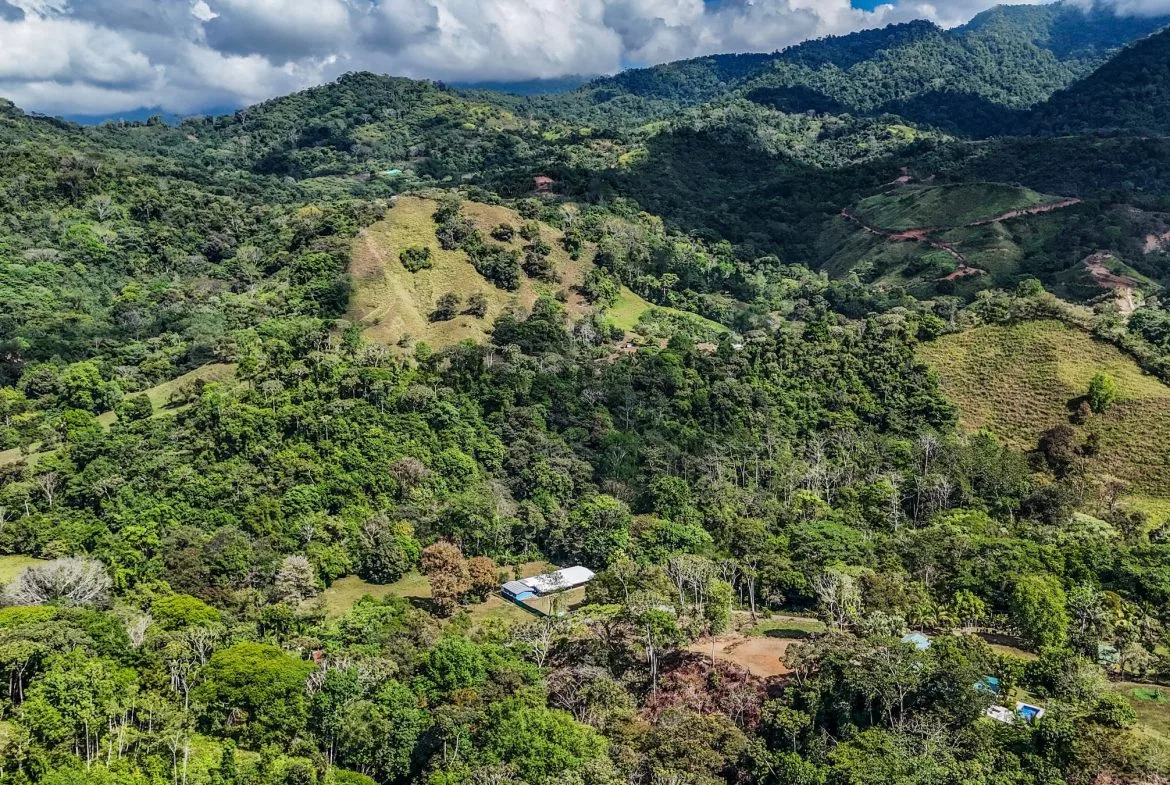 MOUNTAIN BUILDING PROPERTY WITH TREES VIEWS, IN TRES RIOS – 1.2 ACRES, photo 4