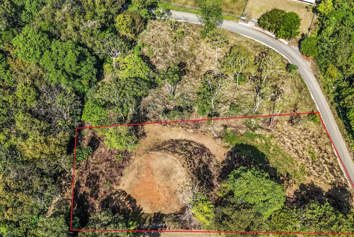 MOUNTAIN BUILDING PROPERTY WITH TREES VIEWS, IN TRES RIOS – 1.2 ACRES, photo 6
