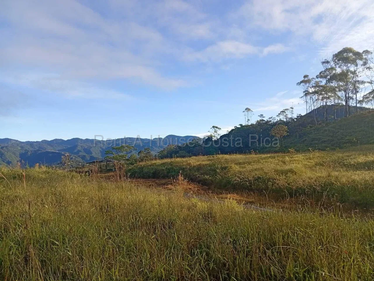 Lote en Venta en San Carlos ,Tarrazu
