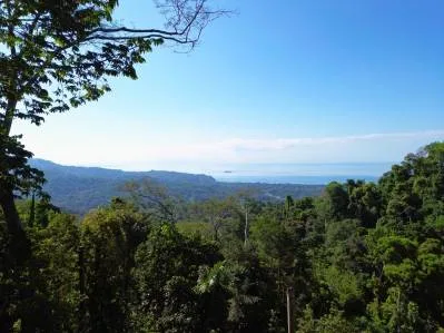 Lote con vista al mar listo para construir sobre Uvita con vistas a la costa, photo 3