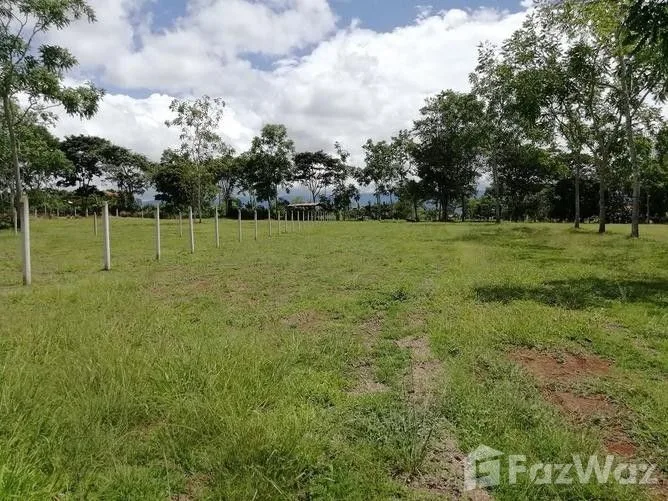 Land for Sale in Perez Zeledon, San Jose for $2,173,464, photo 6