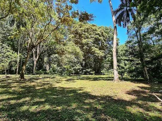Cahuita Developer Lot, photo 2