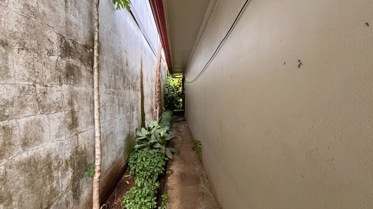 Propiedad en Venta en el Centro de Pérez Zeledón | Potencial Comercial y Residencial - Venta en Pérez Zeledón, photo 20