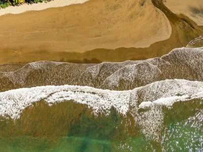 Propiedad de bambú cerca de Playa Ballena | Excelente oportunidad de desarrollo en Costa Ballena, photo 5