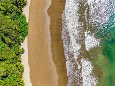 Propiedad de bambú cerca de Playa Ballena | Excelente oportunidad de desarrollo en Costa Ballena, photo 7
