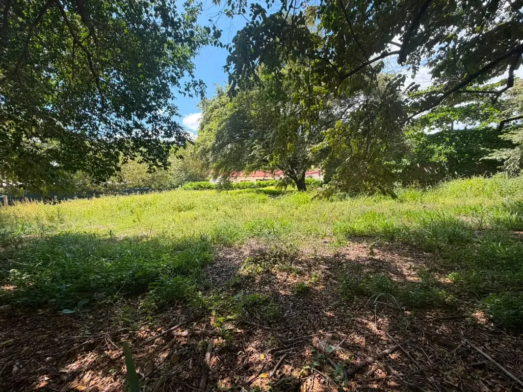 Lote Comercial de 1,423 m² con Uso Mixto | Entre Huacas y Villarreal