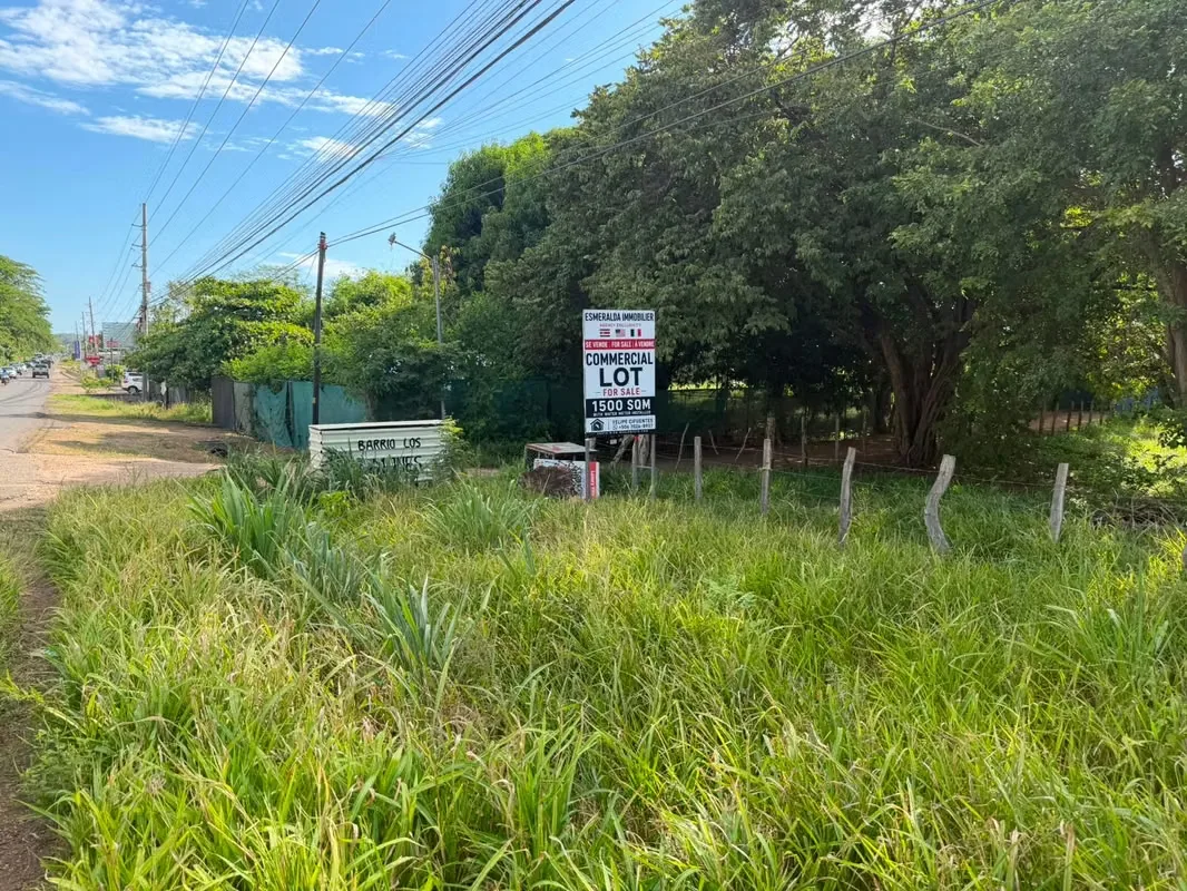 Lote Comercial de 1,423 m² con Uso Mixto | Entre Huacas y Villarreal, photo 2