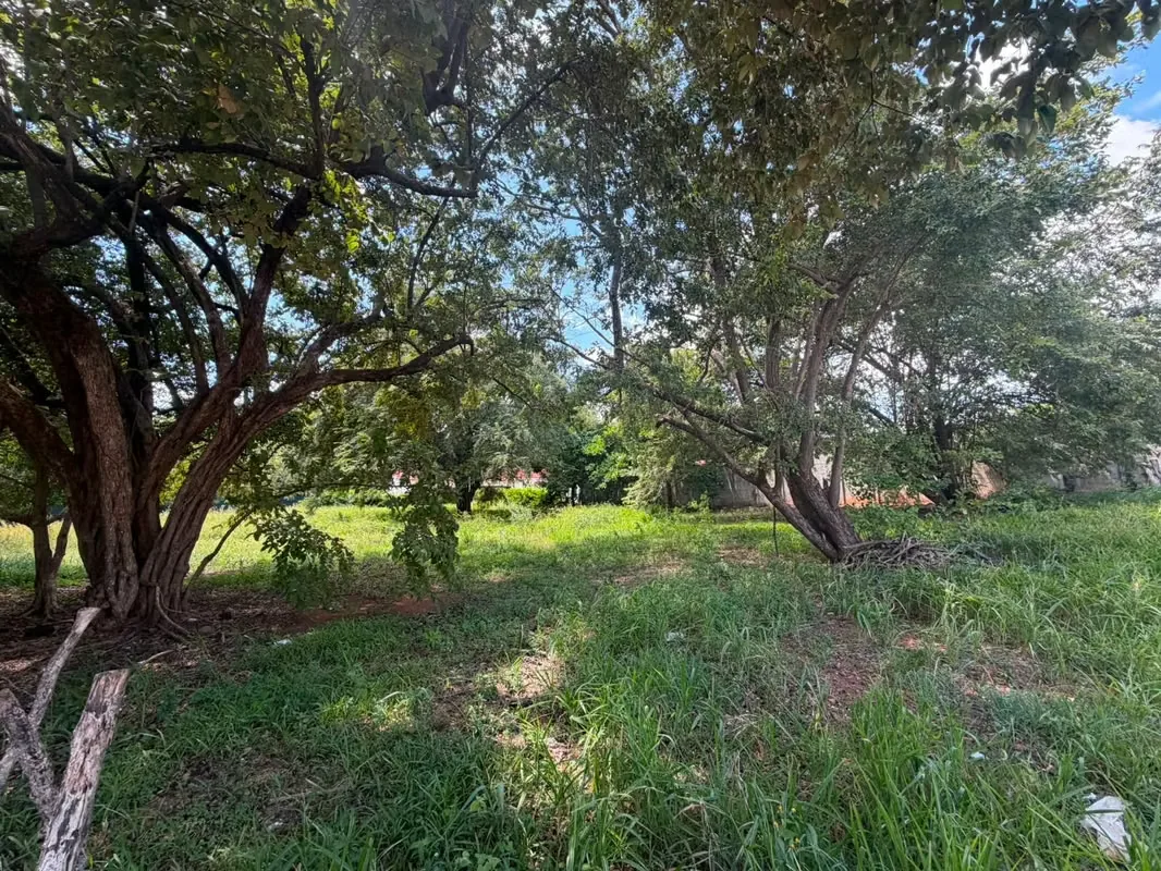 Lote Comercial de 1,423 m² con Uso Mixto | Entre Huacas y Villarreal, photo 3