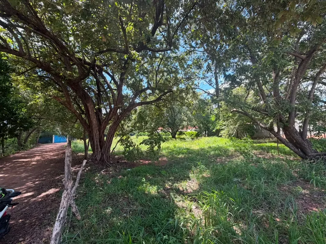 Lote Comercial de 1,423 m² con Uso Mixto | Entre Huacas y Villarreal, photo 4