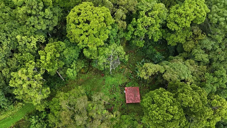 Tropical Paradise with Breathtaking Diamate Waterfall Views