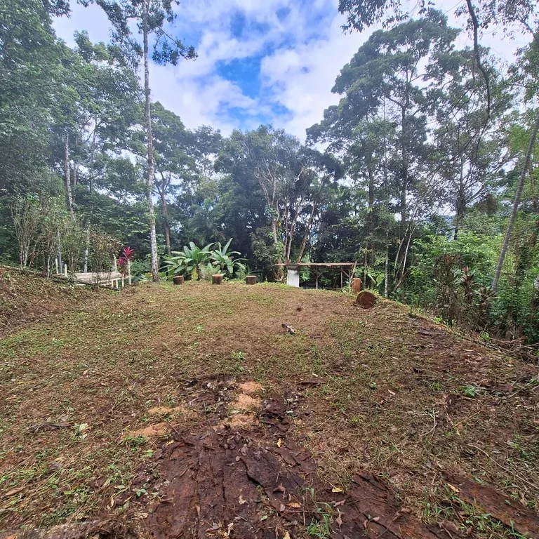 Tropical Paradise with Breathtaking Diamate Waterfall Views, photo 13