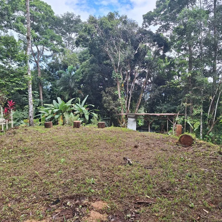 Tropical Paradise with Breathtaking Diamate Waterfall Views, photo 14