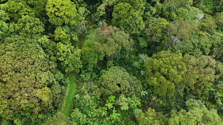 Tropical Paradise with Breathtaking Diamate Waterfall Views, photo 15