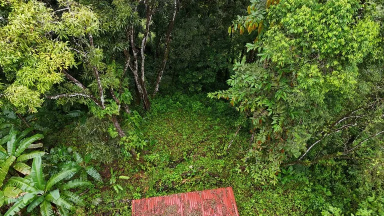 Tropical Paradise with Breathtaking Diamate Waterfall Views, photo 3