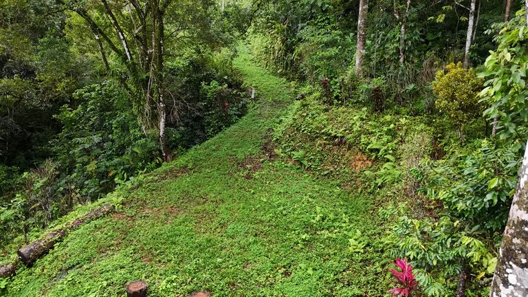 Tropical Paradise with Breathtaking Diamate Waterfall Views, photo 5