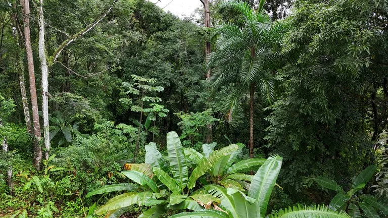 Tropical Paradise with Breathtaking Diamate Waterfall Views, photo 6
