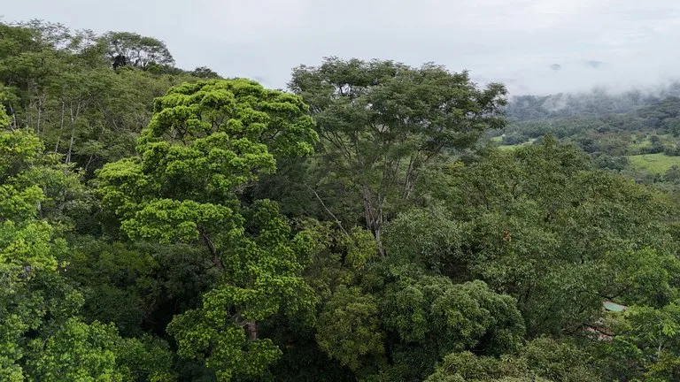 Tropical Paradise with Breathtaking Diamate Waterfall Views, photo 7