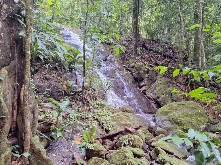 Tropical Paradise with Breathtaking Diamate Waterfall Views, photo 8