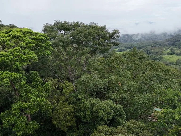 Tropical Paradise with Breathtaking Diamate Waterfall Views, photo 9