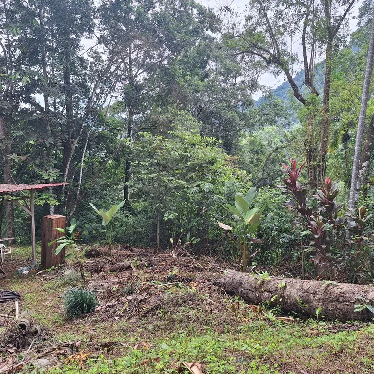 Tropical Paradise with Breathtaking Diamate Waterfall Views, photo 10