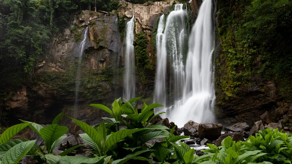 PLAYA DOMINICAL WATERFALL HOMESITES: A TRANQUIL RETREAT FOR YOUR RETIREMENT DREAMS – 2.5 TO 3.5 ACRES, photo 2