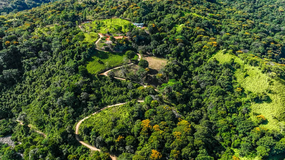 PLAYA DOMINICAL WATERFALL HOMESITES: A TRANQUIL RETREAT FOR YOUR RETIREMENT DREAMS – 2.5 TO 3.5 ACRES, photo 11