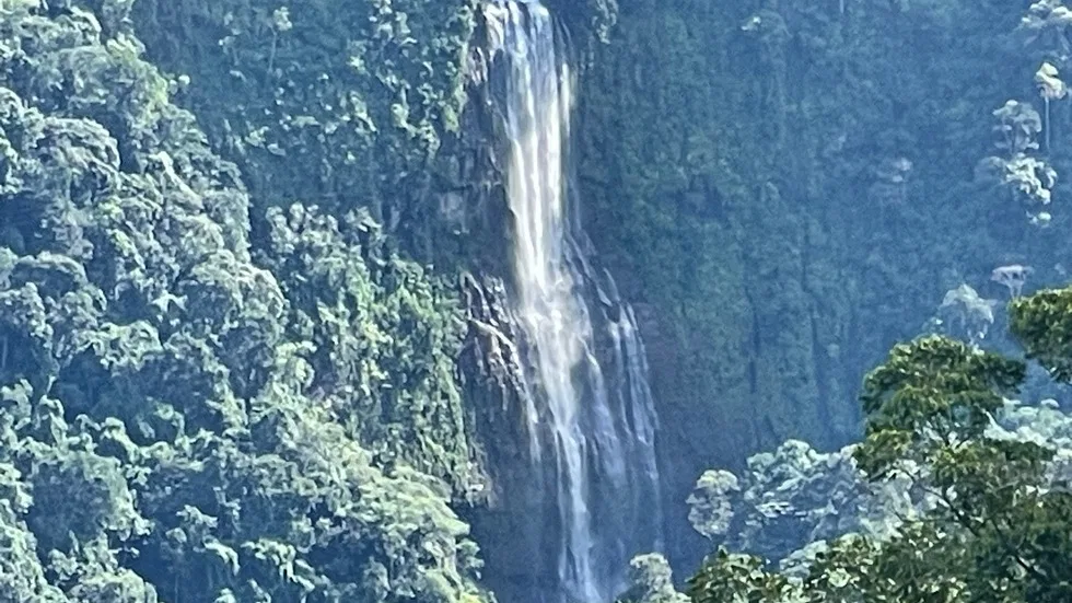 PLAYA DOMINICAL WATERFALL HOMESITES: A TRANQUIL RETREAT FOR YOUR RETIREMENT DREAMS – 2.5 TO 3.5 ACRES, photo 13